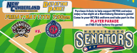 Day at the Park with the Harrisburg Senators!